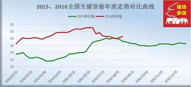 今日生猪全国最新猪价分析与展望