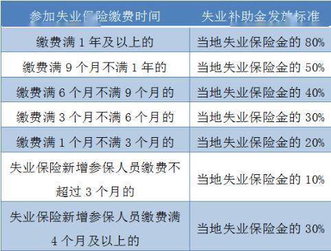 最新失业补助金信息解析