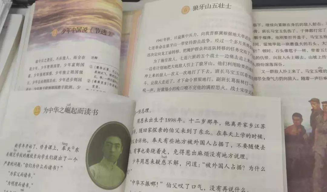 小学语文部编版最新教材深度解析