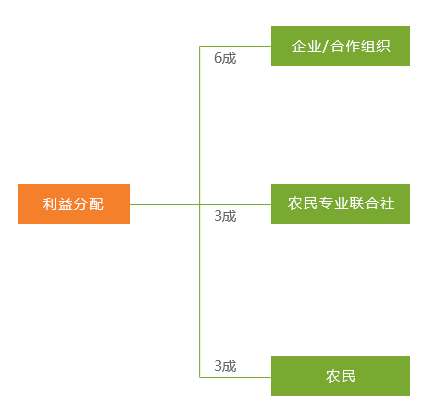 新澳精准资料免费提供219期;现状分析解释落实