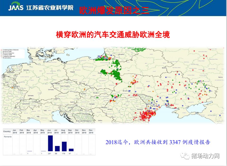 我国非洲猪瘟最新情况分析